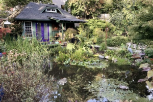 Pond Side Cottage