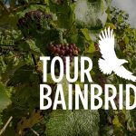 Tour Bainbridge