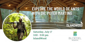 A Bloedel Islandwood Collaborative Event: Explore the World of Ants with Dr. Peter Marting